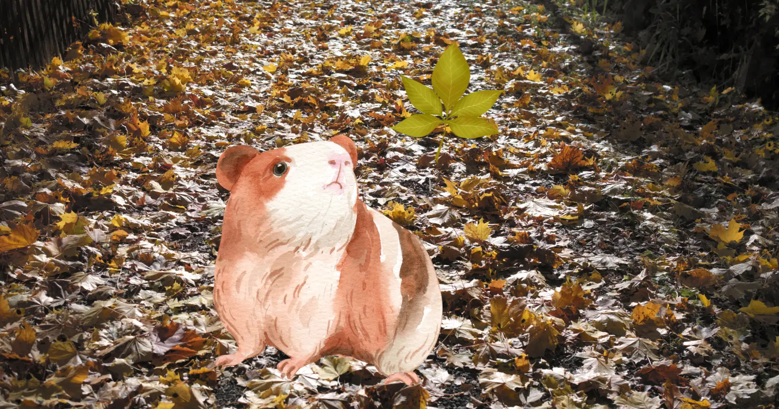 Can Guinea Pigs Eat Maple Leaves