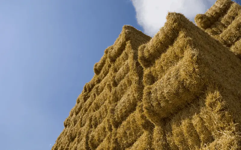 What Is the Best Way to Store Hay