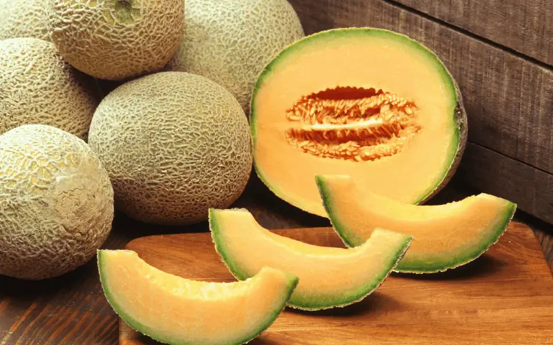 Nutritional Benefits Of Cantaloupe To Hamsters