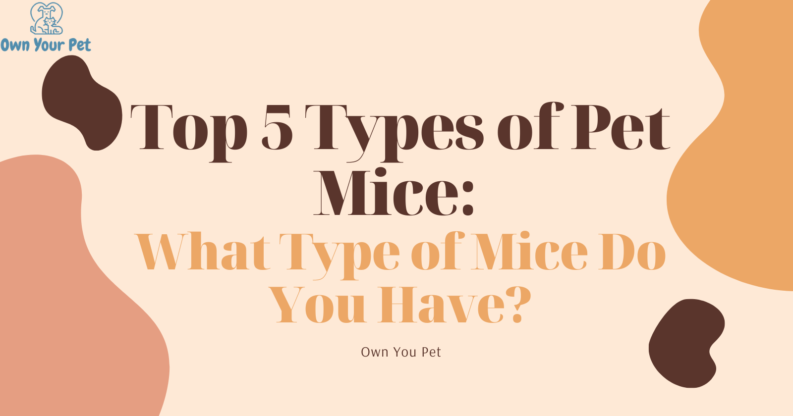 Top 5 Types of Pet Mice: What Type of Mice Do You Have?