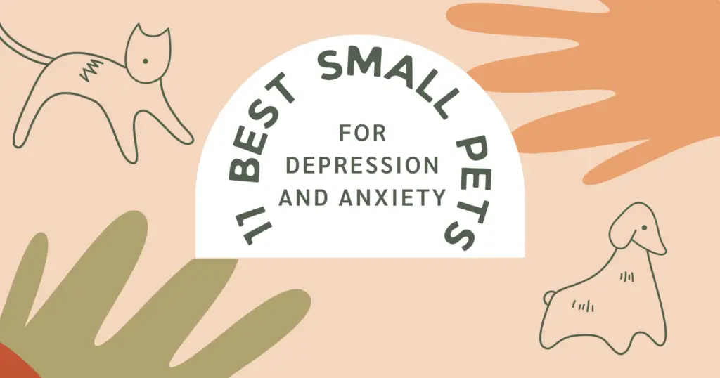 11 best Small Pets for Depression and Anxiety