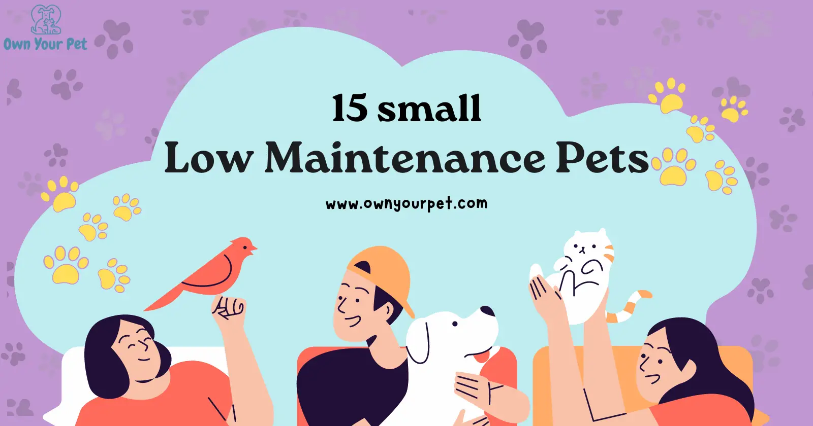 15 Small Low Maintenance Pets