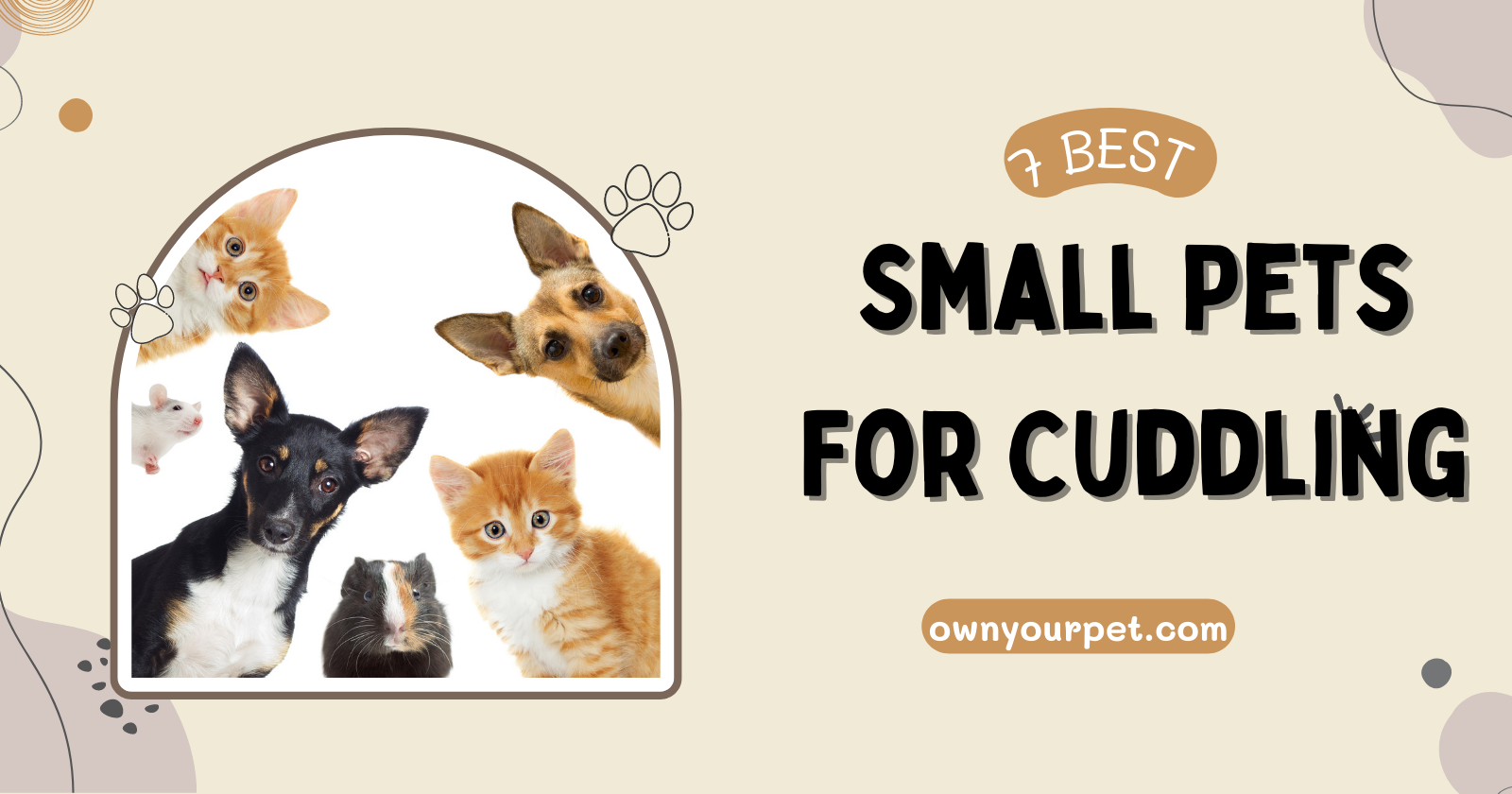 7 Best Small Pets For Cuddling